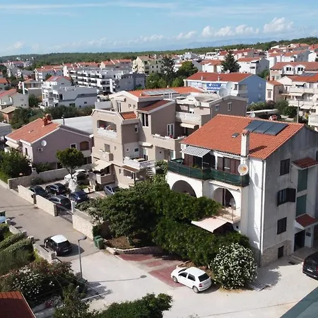 Glicinija Daire Zadar